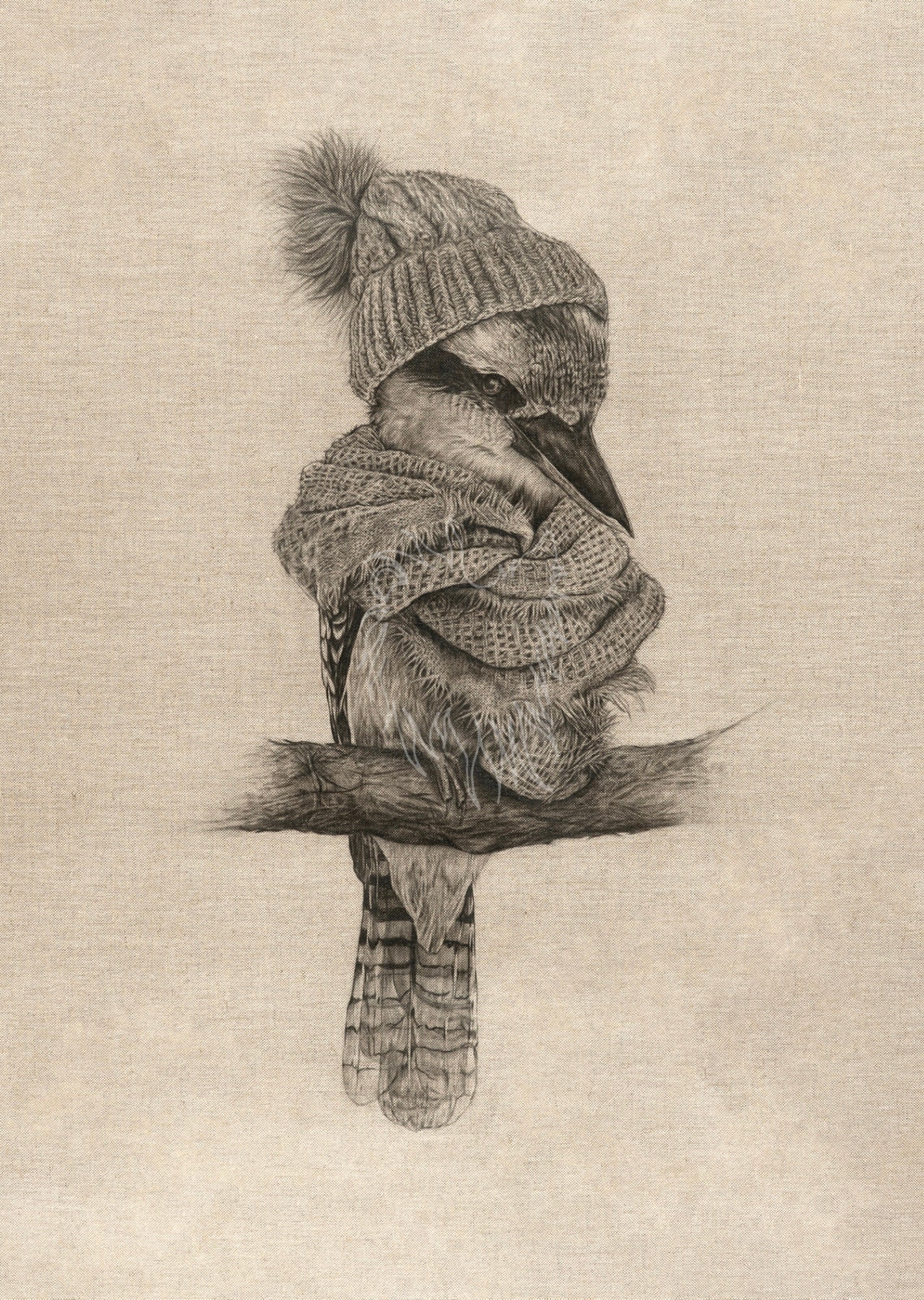 Kookabrrrrra Hahnemühle German Etching Print