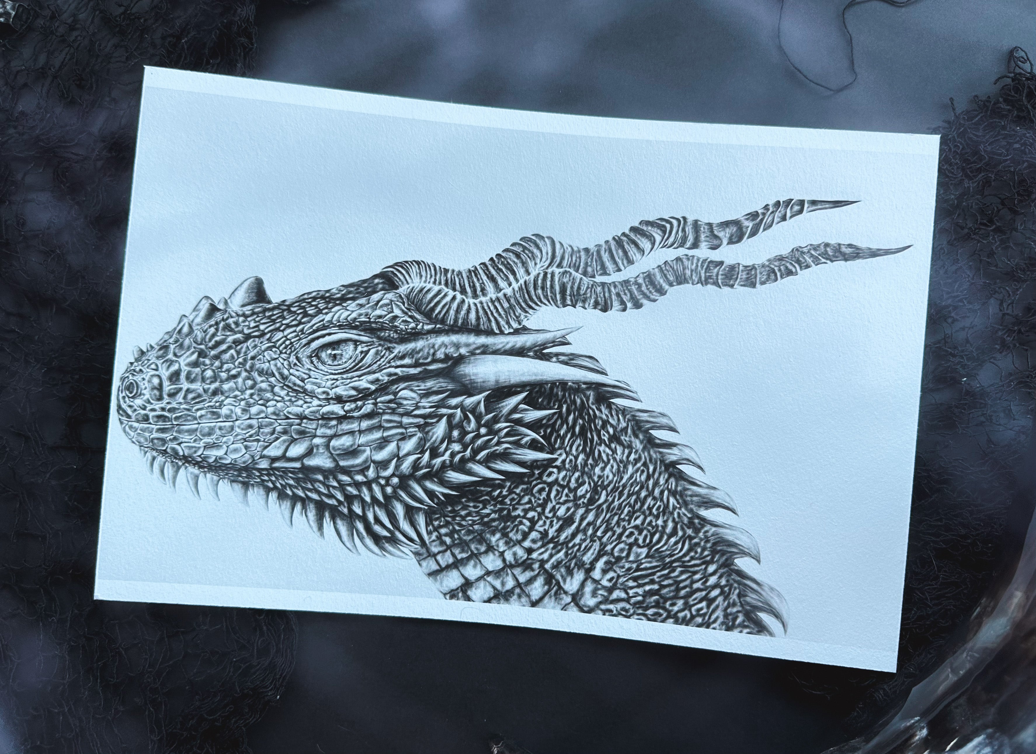 Darker Dragon Hahnemühle German Etching Print