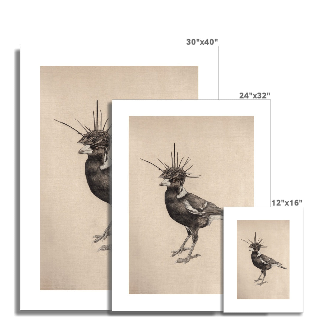 Swooping Season Rolled Eco Canvas