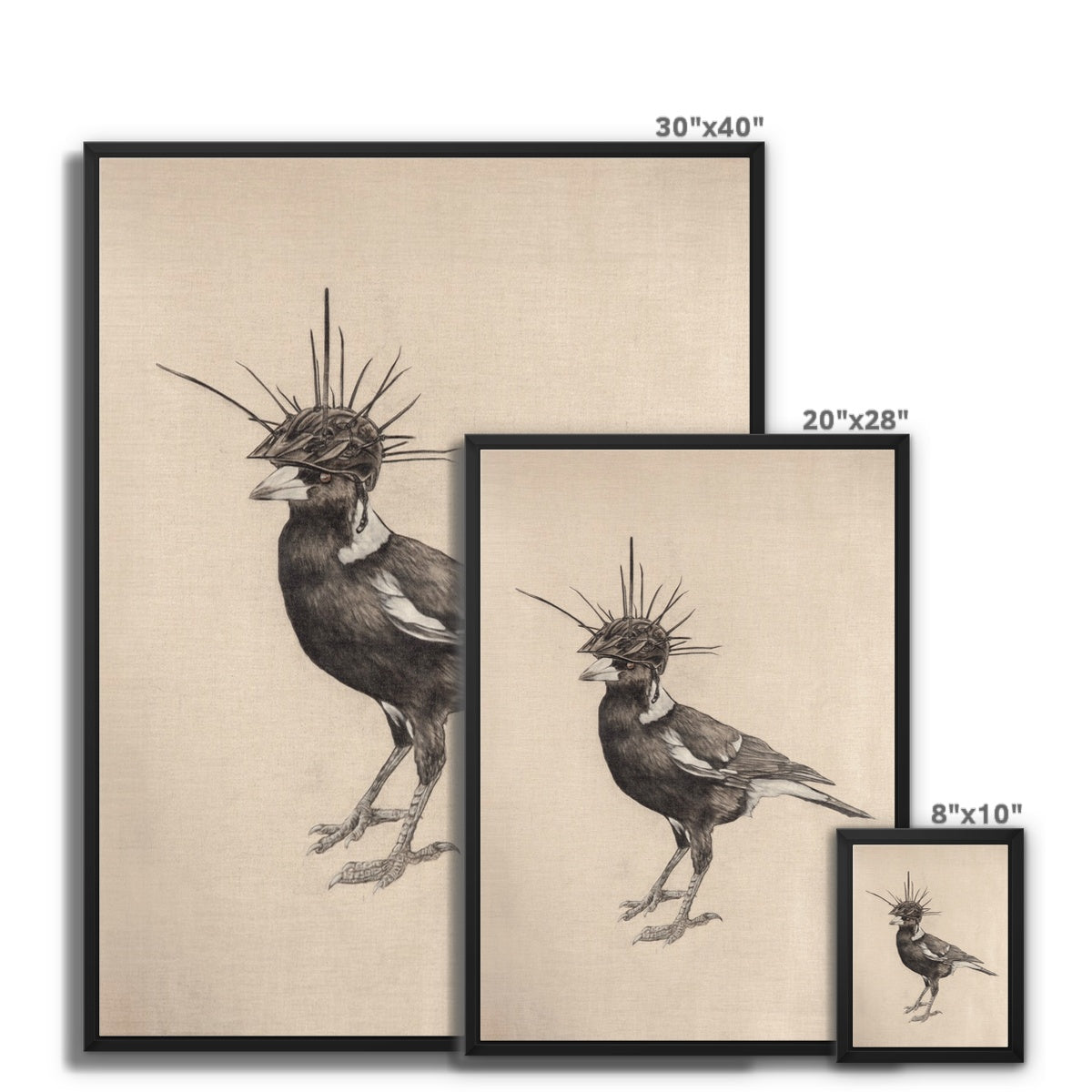Swooping Season Framed Canvas