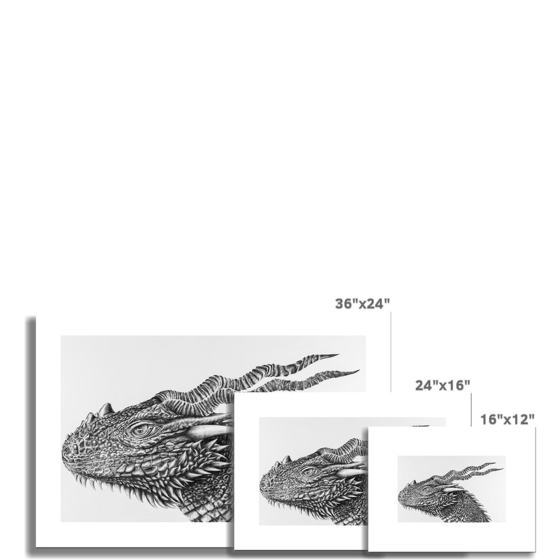 Darker Dragon Rolled Canvas