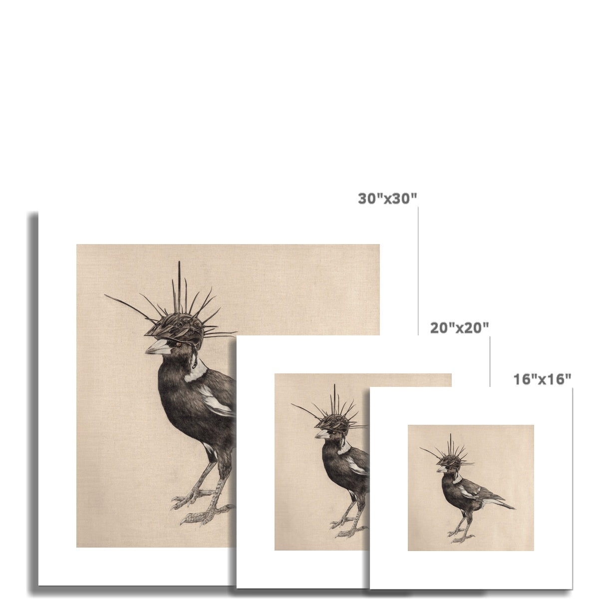 Swooping Season Rolled Eco Canvas