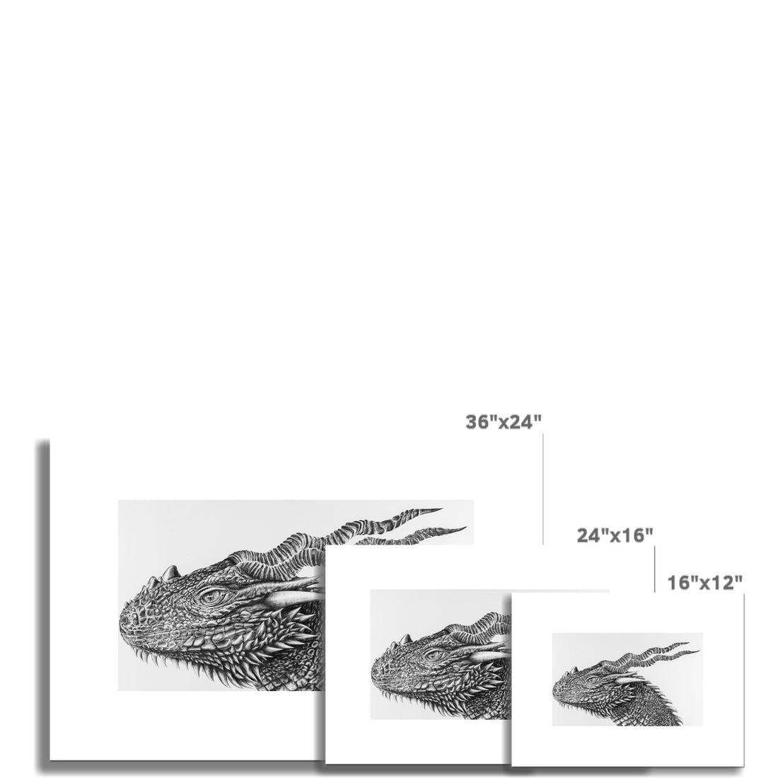 Darker Dragon Rolled Eco Canvas