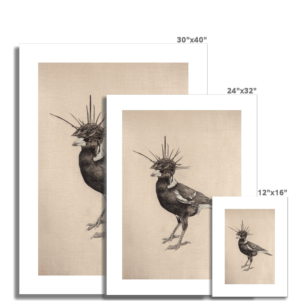 Swooping Season Rolled Canvas