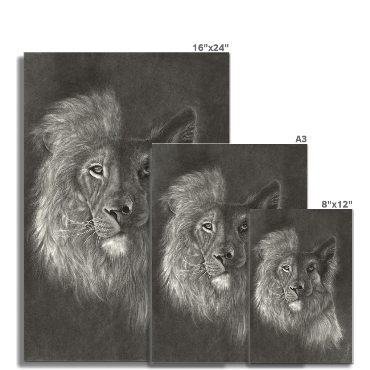 Zara + the Lion Hahnemühle German Etching Print