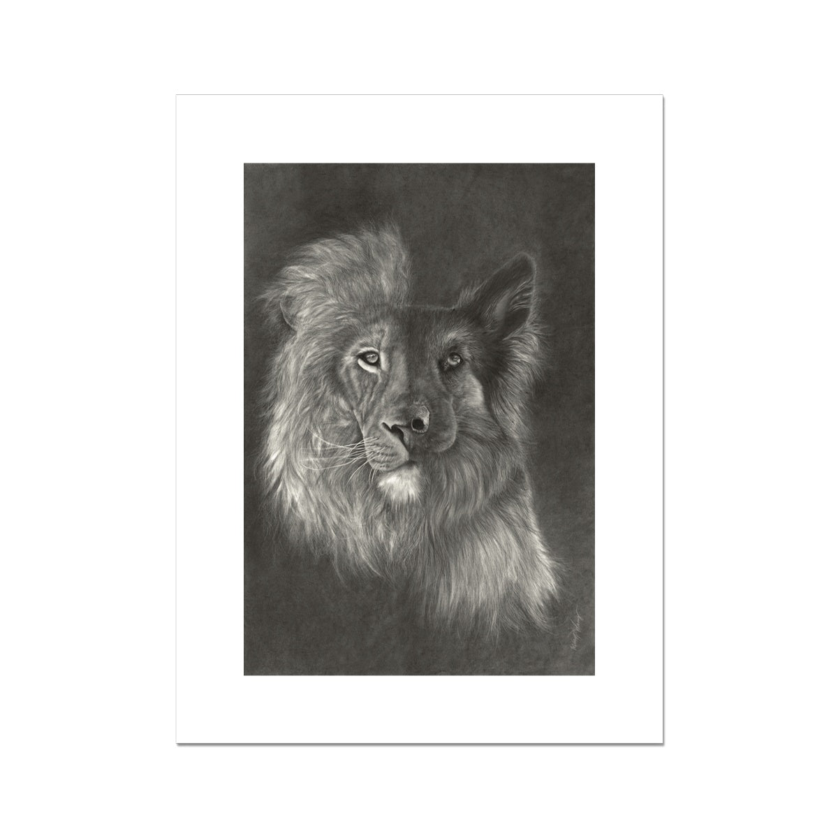 Zara + the Lion Rolled Canvas