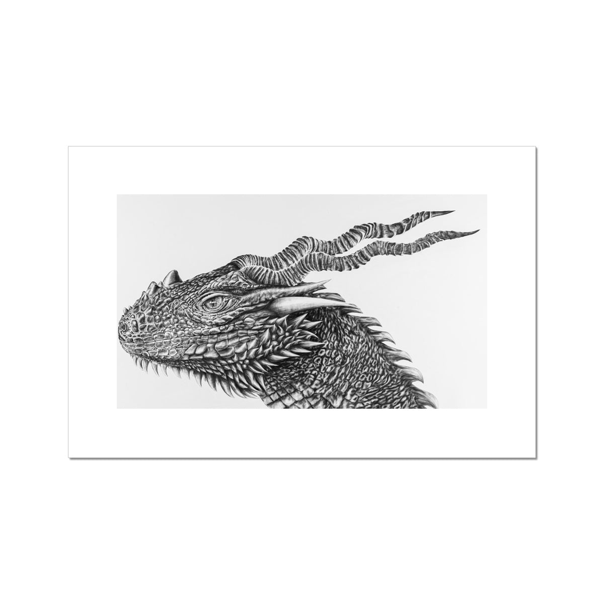 Darker Dragon Rolled Canvas