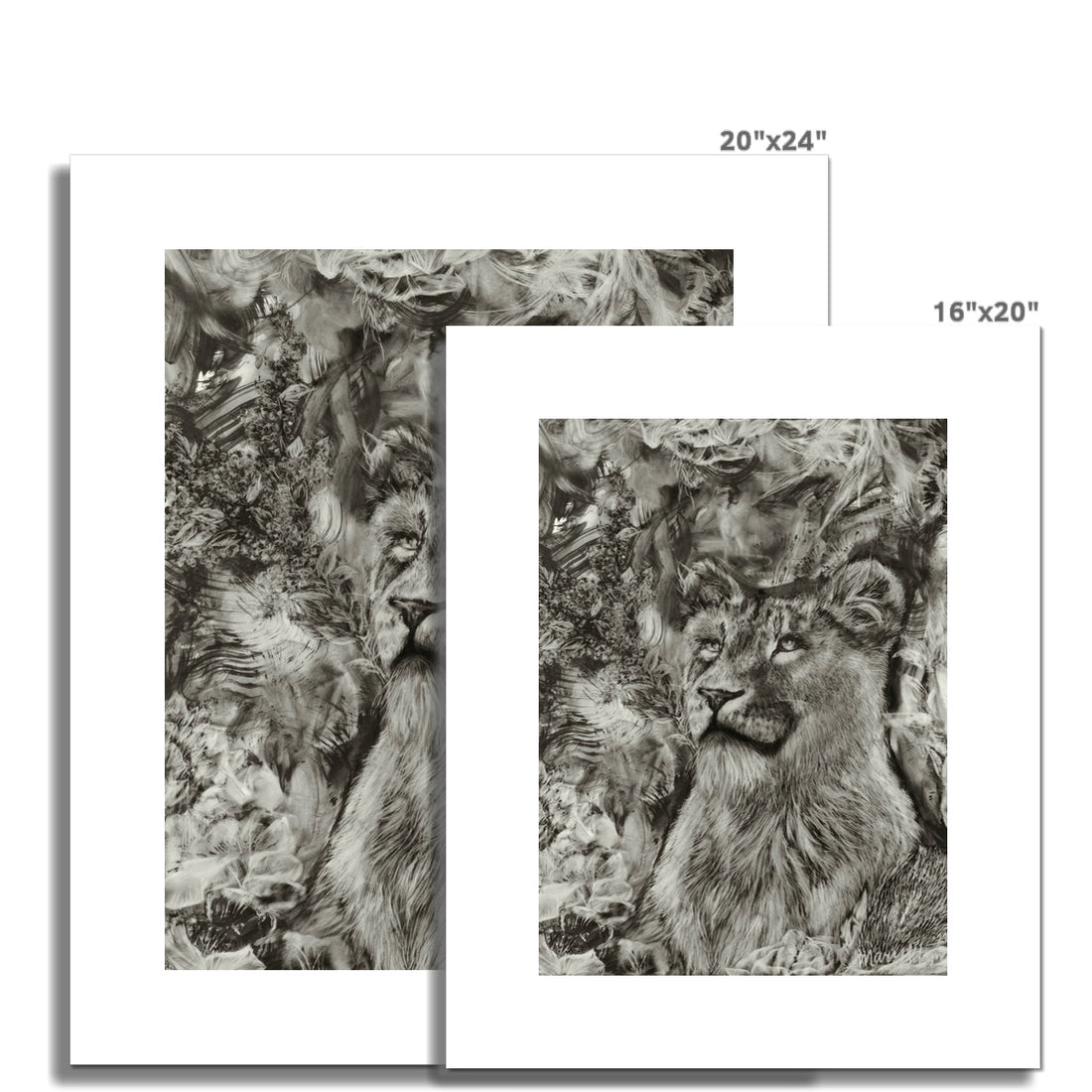 Lioness Rolled Canvas