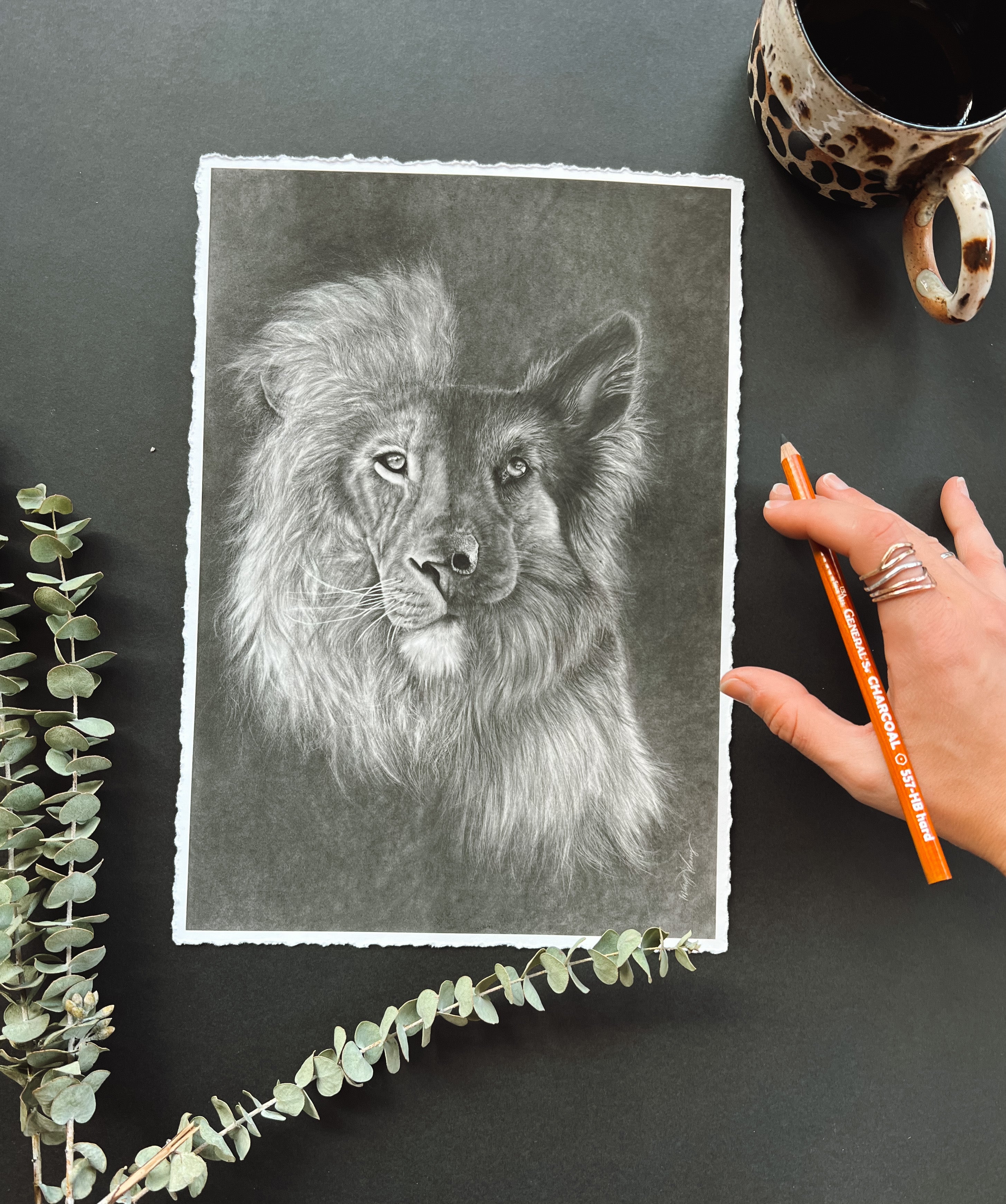 Zara + the Lion Hahnemühle German Etching Print