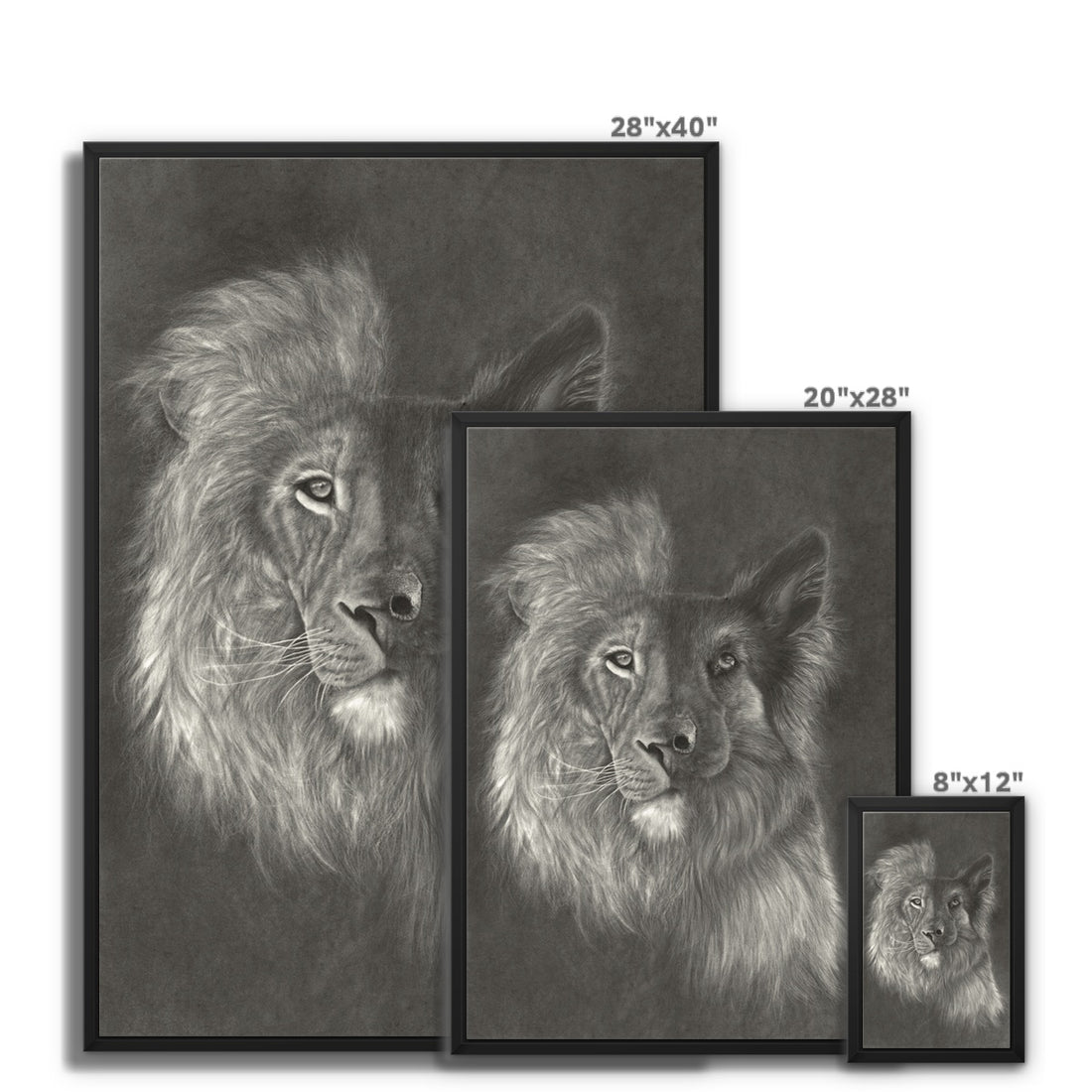 Zara + the Lion Framed Canvas