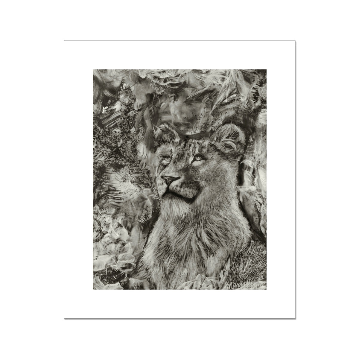 Lioness Rolled Canvas