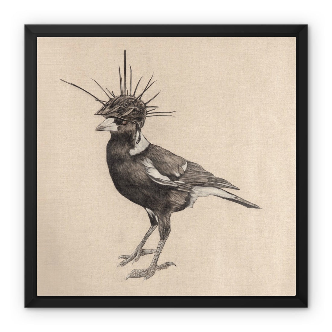 Swooping Season Framed Canvas