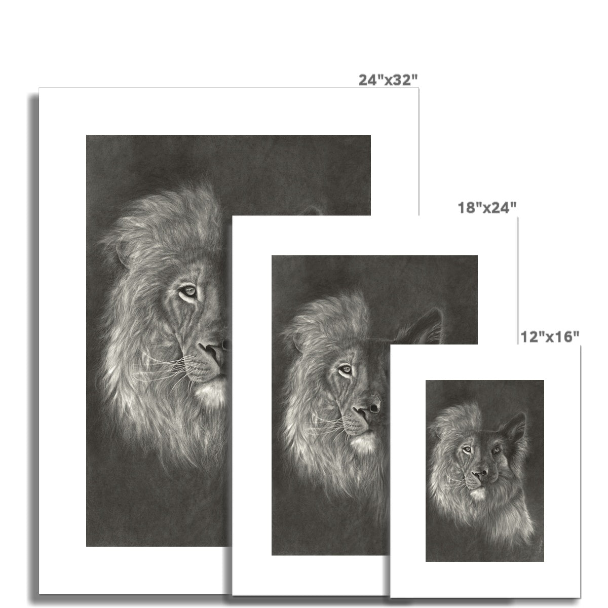 Zara + the Lion Rolled Canvas