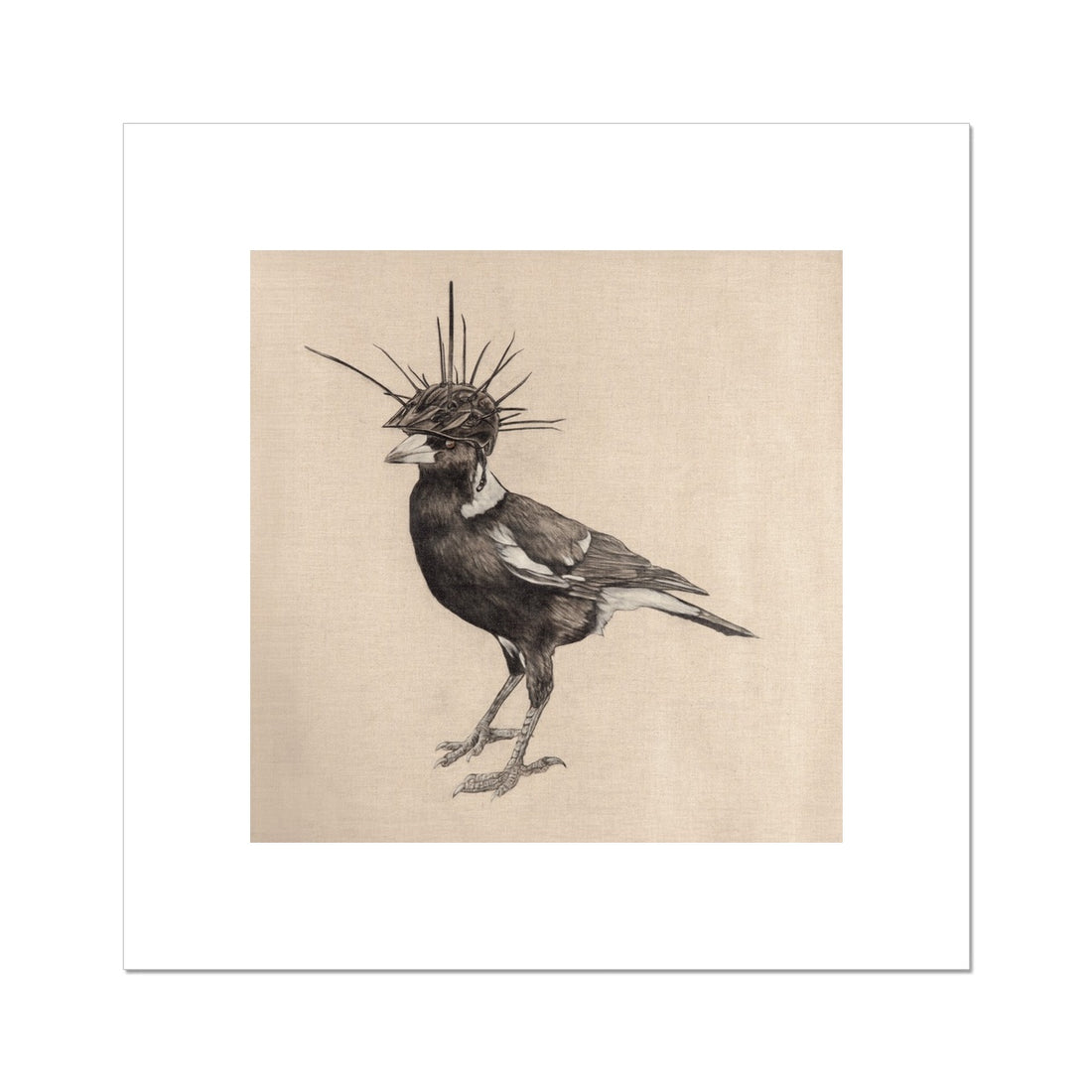 Swooping Season Rolled Canvas