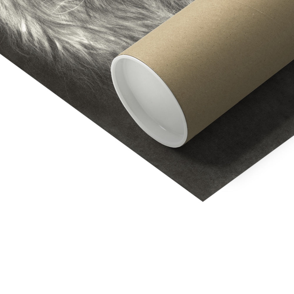 Zara + the Lion Hahnemühle German Etching Print