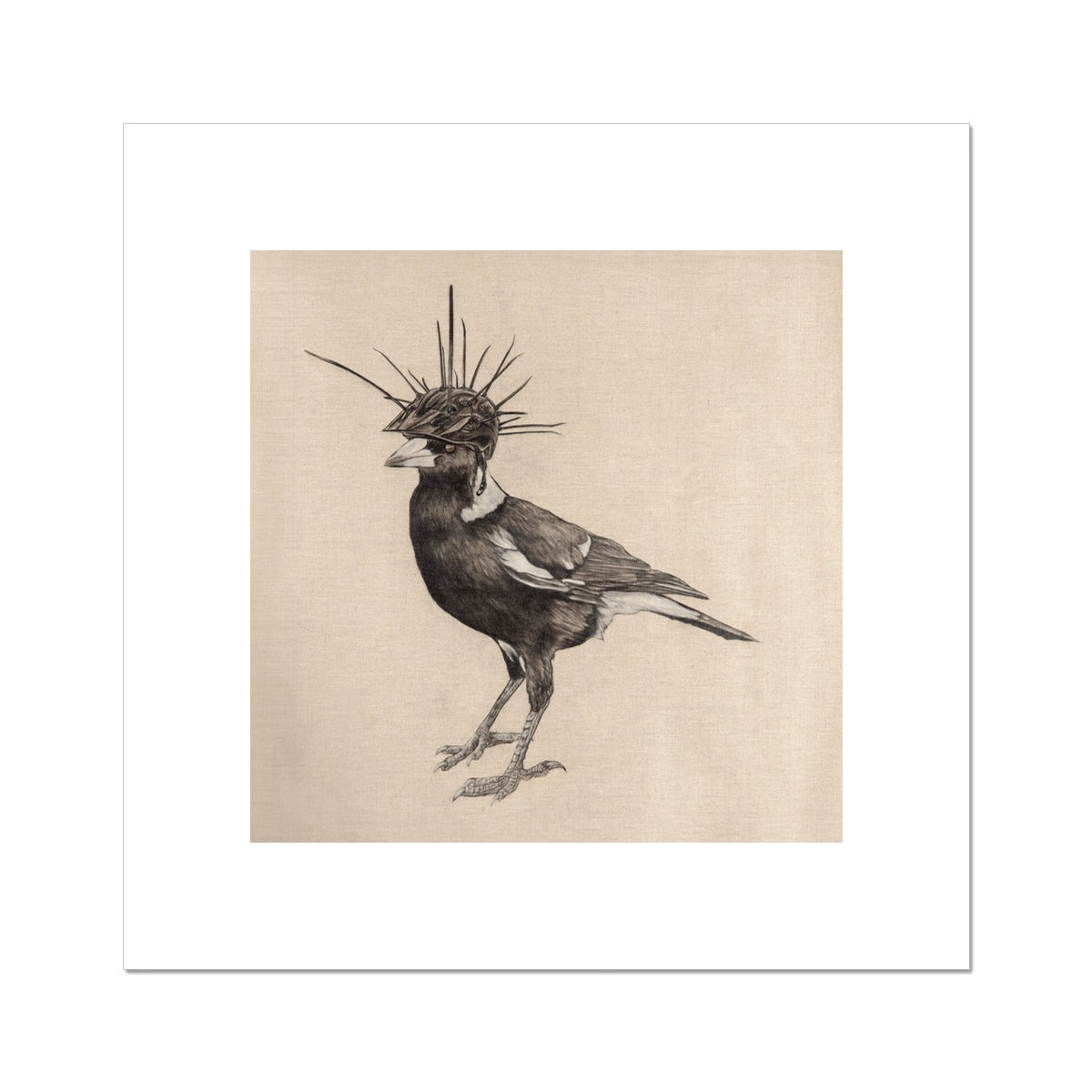 Swooping Season Rolled Eco Canvas