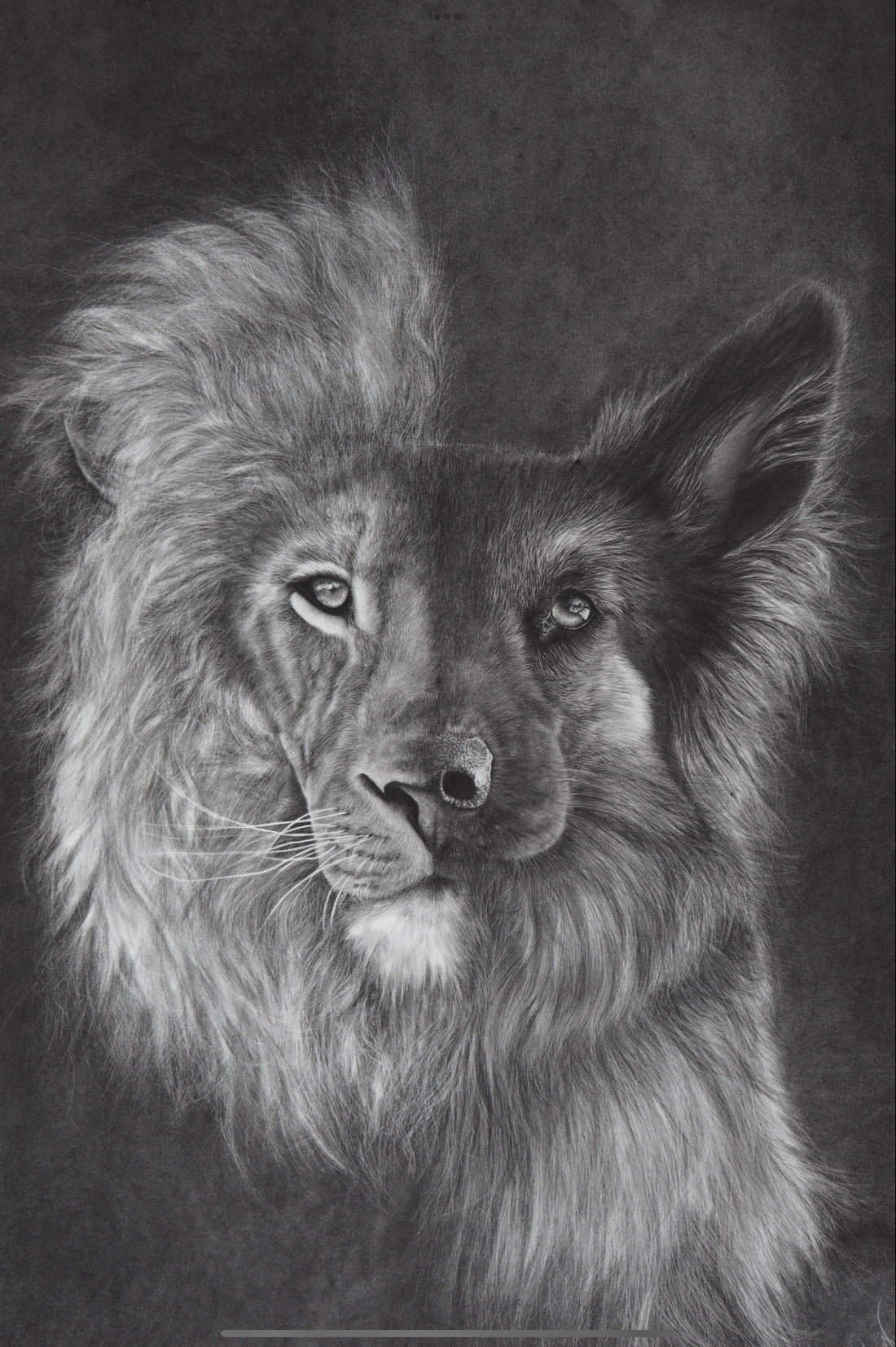 Zara + the Lion Original Artwork