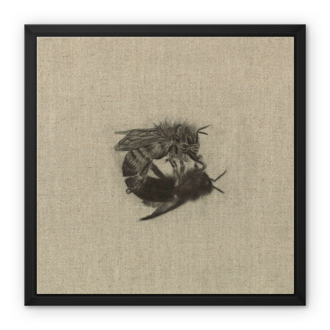 Busy Bee Framed Canvas