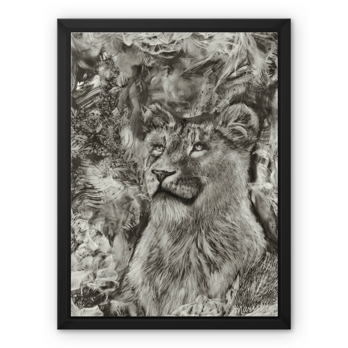 Lioness Framed Canvas