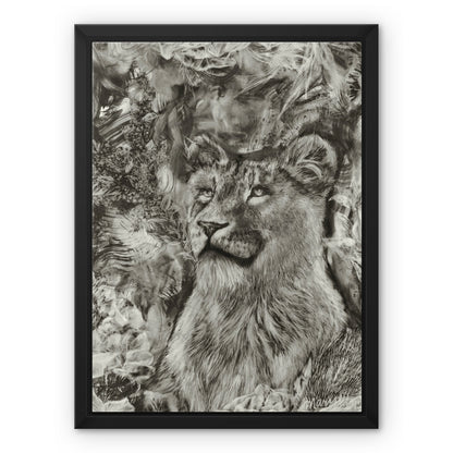 Lioness Framed Canvas