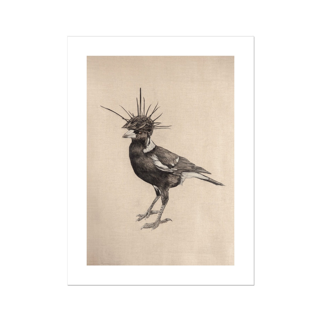 Swooping Season Rolled Eco Canvas