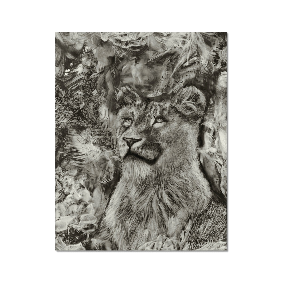 Lioness Hahnemühle German Etching Print