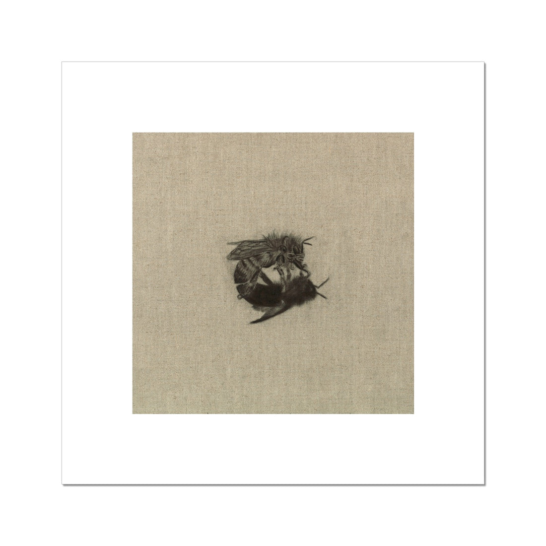 Busy Bee Rolled Eco Canvas