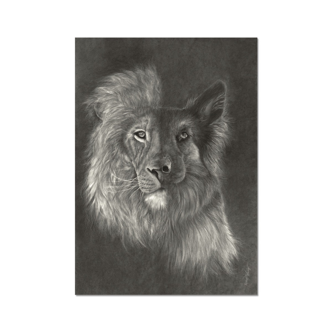 Zara + the Lion Hahnemühle German Etching Print