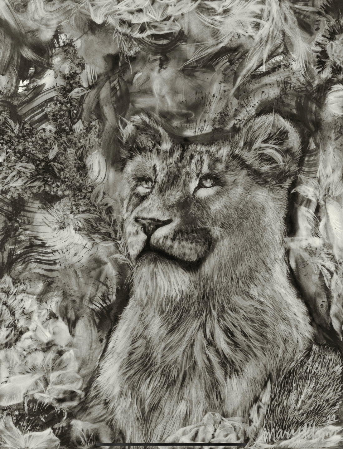 Lioness Original Artwork