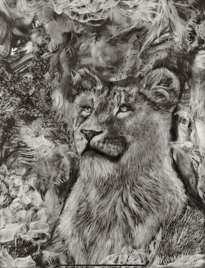 Lioness Original Artwork