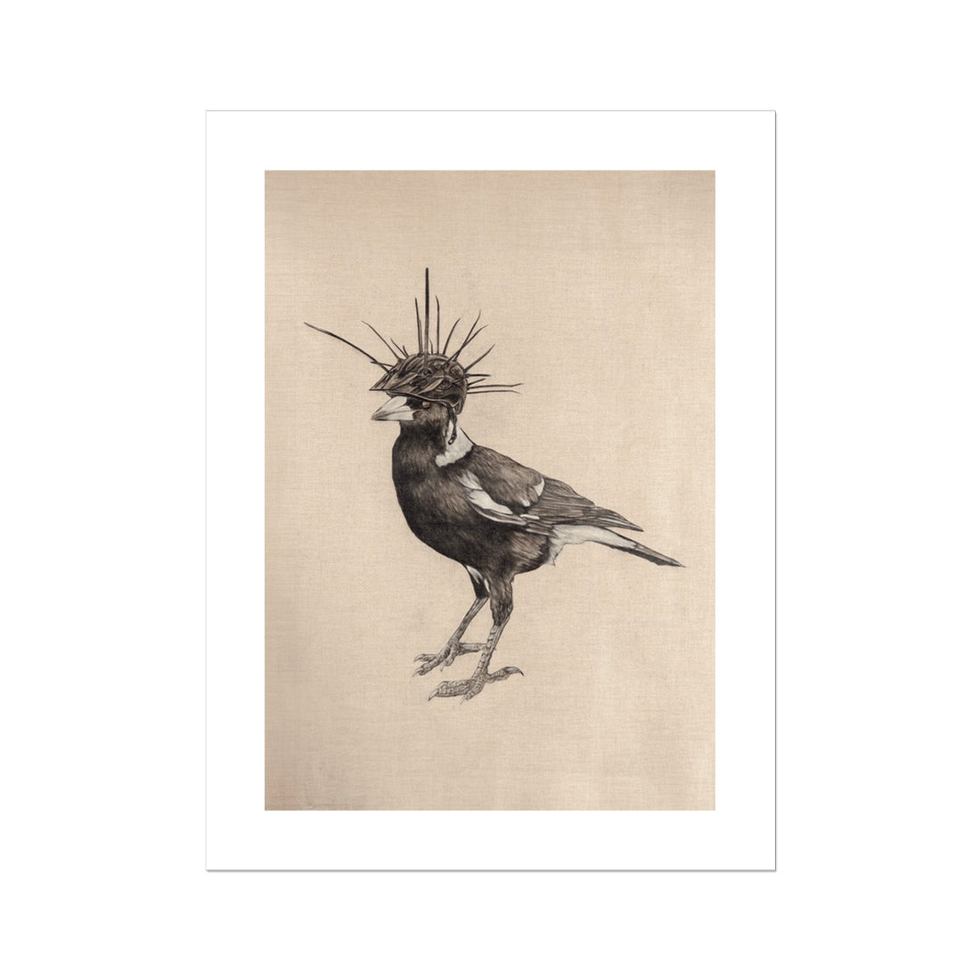 Swooping Season Rolled Canvas