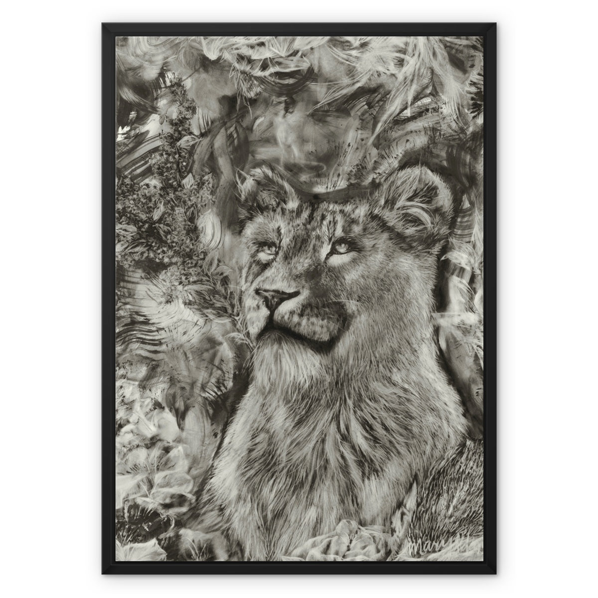 Lioness Framed Canvas