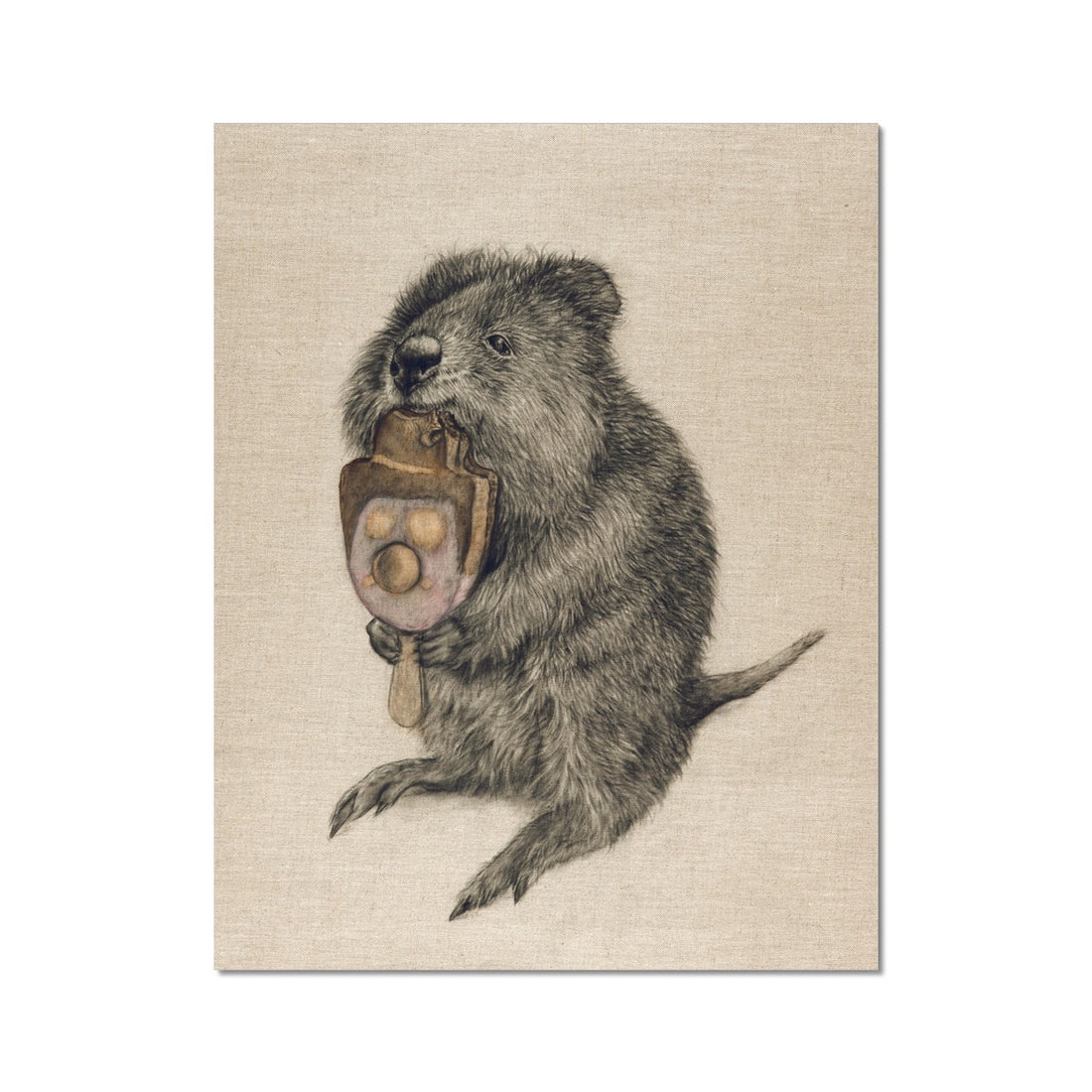 Cool Quok Hahnemühle German Etching Print